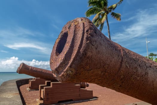 Old cannons and palm tree at the waterfront of Saint Denis on Reuinion island in the Indian Ocean
