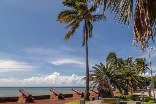 Old cannons and palm tree at the waterfront of Saint Denis on Reuinion island in the Indian Ocean