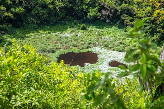 Volcanic crater and crater lake Trou aux Cerfs on Mauritius island, africa