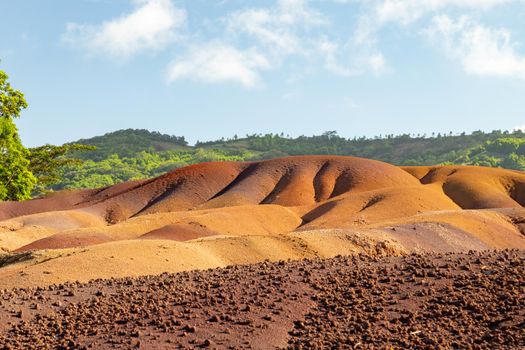 Seven coloured earth (sandstone formation with seven colours) on Mauritius island, Chamarel, Indian ocean