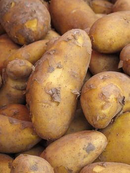 Many potatoes on a farmer's market