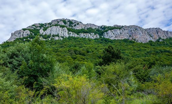 Inaccessible rocks surrounded by green forests and shrubs in hot summers in clear sunny weather.