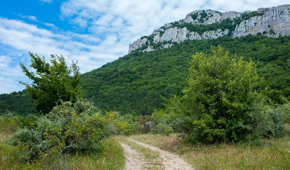 Country road against the backdrop of inaccessible rocks surrounded by green forest.