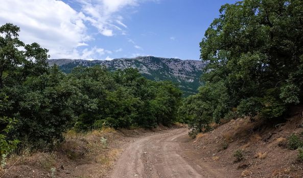 Country road against the backdrop of inaccessible rocks surrounded by green forest.