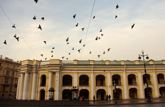 April 27, 2012 St. Petersburg, Russia. Pigeons over the Gostiny Dvor building on Nevsky Prospekt in St. Petersburg.