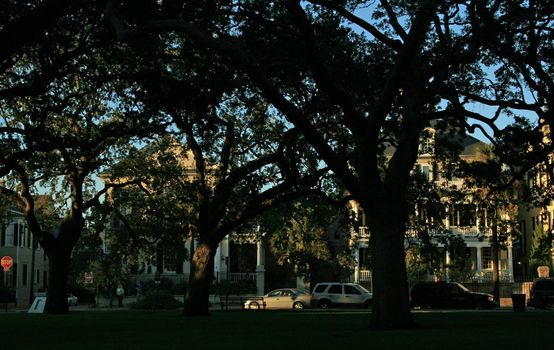 Scenes at Charleston, South Carolina