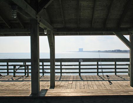 Scenes of Myrtle Beach State Park