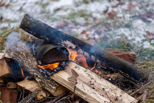 An outdoor fire burns in a small pile of logs in the winter, with snow visible on the ground behind it.
