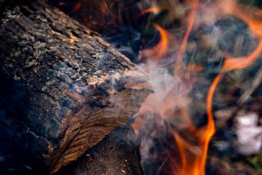 A cut wooden log is smoking with flames beneath it in an outdoor campfire in a close-up view.