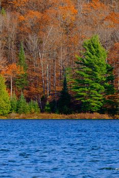 A view across the water of a lake shows evergreen trees along the shore, with a forest of trees with orange leaves on a hillside behind them.