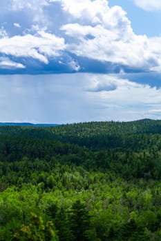 A vertically-oriented landscape of vast hills covered in a forest of green trees below a blue sky with puffy clouds.