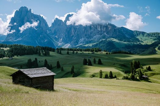 Alpe di Siusi - Seiser Alm with Sassolungo - Langkofel mountain group in background at sunset. Yellow spring flowers and wooden chalets in Dolomites, Trentino Alto Adige, South Tyrol, Italy, Europe. Summer weather with dark clouds rain