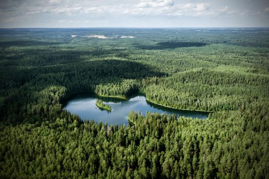 Top view of a forest lake