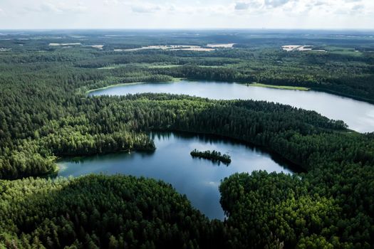 Top view of a forest lake