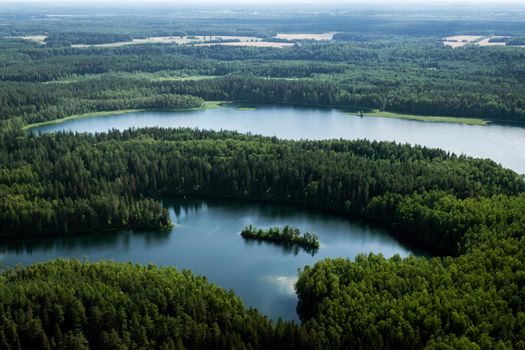 Top view of a forest lake