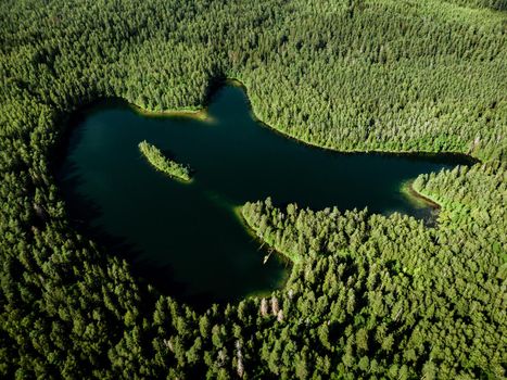 Top view of a forest lake