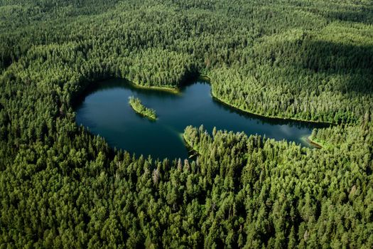 Top view of a forest lake