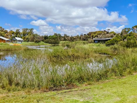 Boneo, Australia - January 3rd 2021: Boneo Discovery Park on a warm sunny day with Animalia sand sculpture exhibition in the Mornington Peninsula, Victoria, Australia