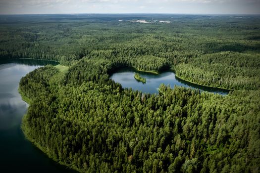 Top view of a forest lake