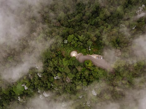 Top view through clouds on green forest and road