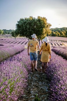 couple men and woman watching sunset in lavender fields in the south of France, Ardeche lavender fields iduring sunset, Lavender fields in Ardeche in southeast France.Europe