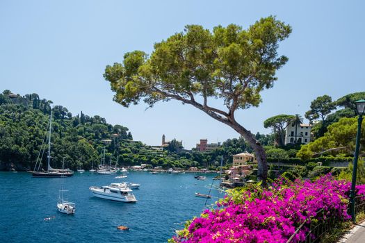 Portofino famous village bay, Italy Europe colorful village Ligurian coast