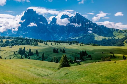 Alpe di Siusi - Seiser Alm with Sassolungo - Langkofel mountain group in background at sunset. Yellow spring flowers and wooden chalets in Dolomites, Trentino Alto Adige, South Tyrol, Italy, Europe. Summer weather with dark clouds rain