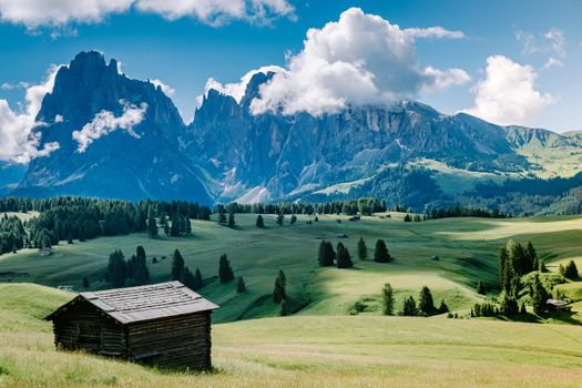 Alpe di Siusi - Seiser Alm with Sassolungo - Langkofel mountain group in background at sunset. Yellow spring flowers and wooden chalets in Dolomites, Trentino Alto Adige, South Tyrol, Italy, Europe. Summer weather with dark clouds rain