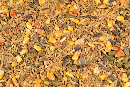 A full frame macro shot of a pile of mixed pet food used for small animals or birds.