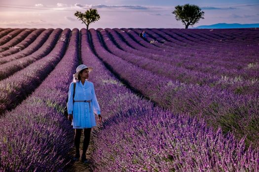 Provence, Lavender field France, Valensole Plateau, colorful field of Lavender Valensole Plateau, Provence, Southern France. Lavender field. Europe. woman on vacation at the provence lavender fields,