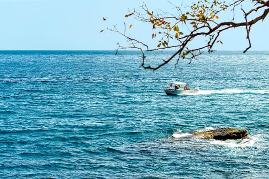 A view with a horizon going into the distance. Summer day.