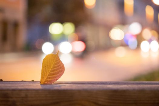 Evening autumn city scenery: Leaf in the foreground, urban city lights in the background