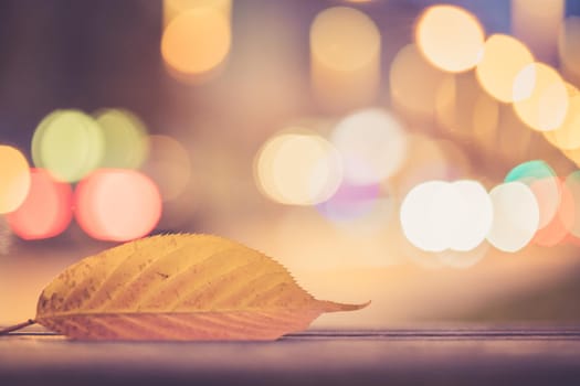 Evening autumn city scenery: Leaf in the foreground, urban city lights in the background