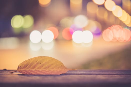Evening autumn city scenery: Leaf in the foreground, urban city lights in the background
