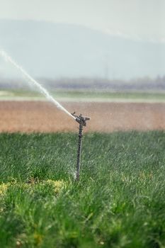 Irrigation plant on an agriculture field, summer day, soil