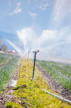 Irrigation plant on an agriculture field, summer day, soil