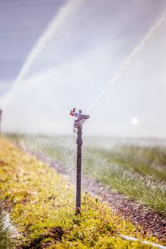 Irrigation plant on an agriculture field, summer day, soil