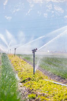 Irrigation plant on an agriculture field, summer day, soil