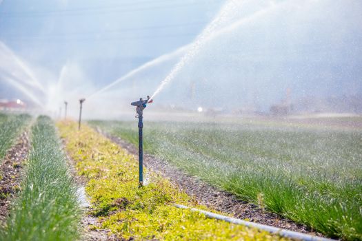 Irrigation plant on an agriculture field, summer day, soil