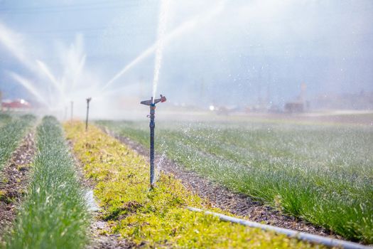 Irrigation plant on an agriculture field, summer day, soil