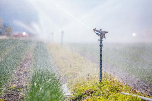 Irrigation plant on an agriculture field, summer day, soil