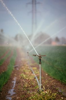 Irrigation plant on an agriculture field, summer day, soil