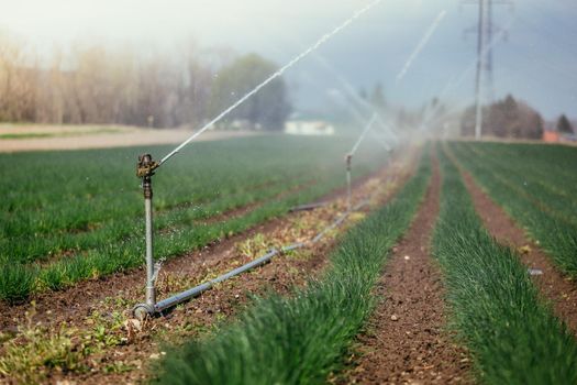 Irrigation plant on an agriculture field, summer day, soil