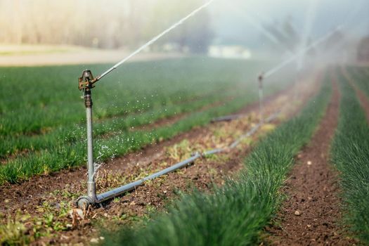 Irrigation plant on an agriculture field, summer day, soil