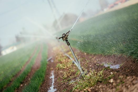 Irrigation plant on an agriculture field, summer day, soil