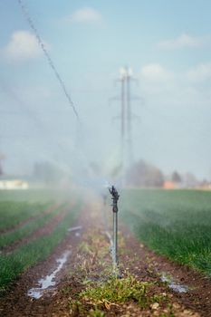 Irrigation plant on an agriculture field, summer day, soil