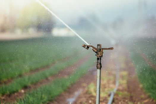 Irrigation plant on an agriculture field, summer day, soil