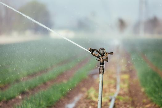 Irrigation plant on an agriculture field, summer day, soil