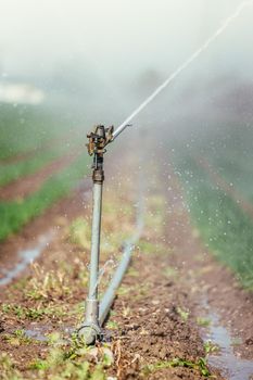 Irrigation plant on an agriculture field, summer day, soil