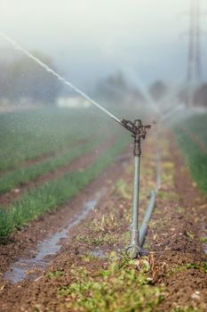 Irrigation plant on an agriculture field, summer day, soil